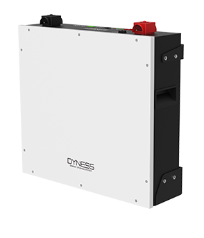 5.12kWh Dyness BX51100 Lithium Battery