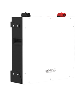 5.12kWh Dyness BX51100 Lithium Battery